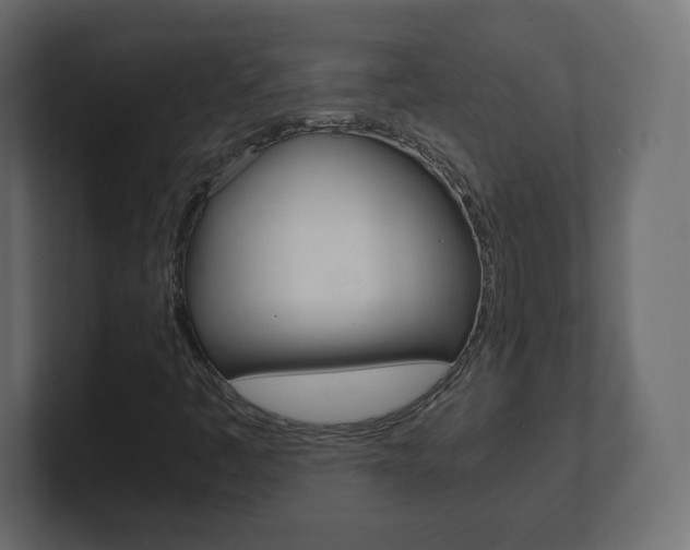 X0000101191445200806270837