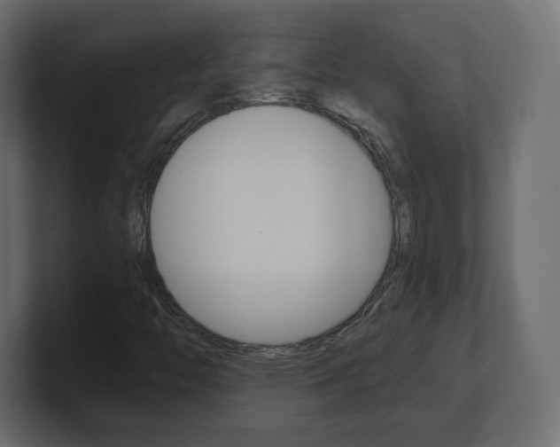 X0000101191446200806270837