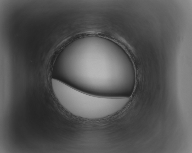 X0000101191448200806270837