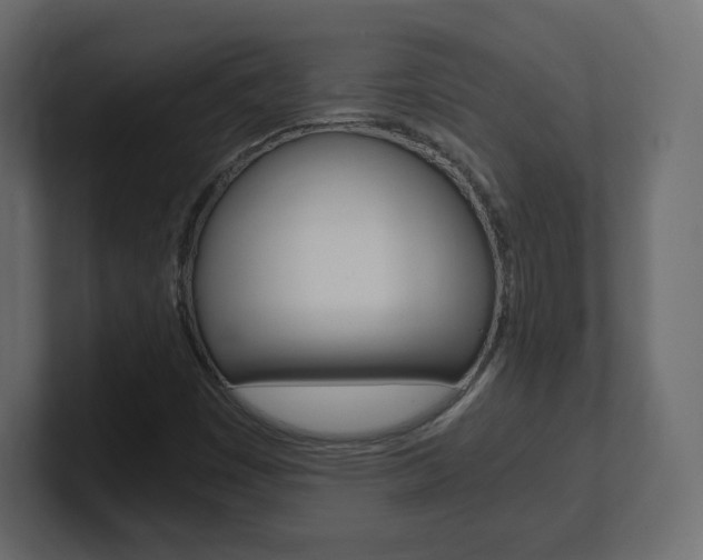 X0000101191449200806270837