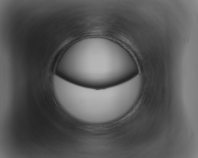X0000101191450200806270837