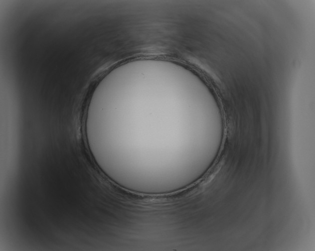 X0000101191451200806270837