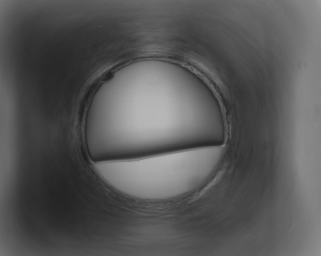 X0000101191453200806270837