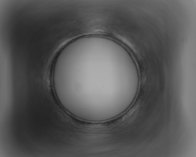 X0000101191455200806270837