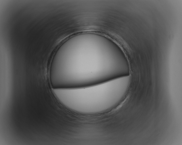 X0000101191457200806270837