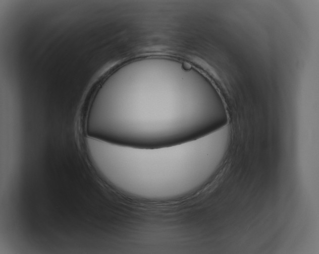 X0000101191458200806270837