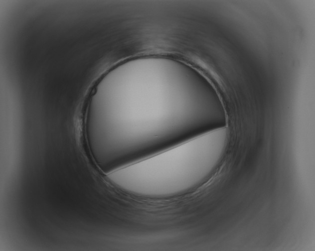 X0000101191459200806270837