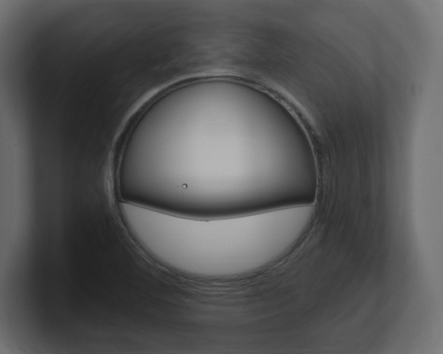 X0000101191460200806270837