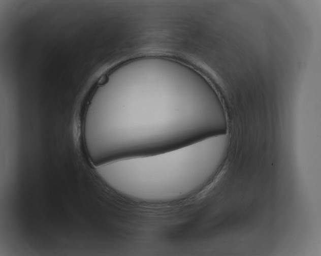 X0000101191461200806270837