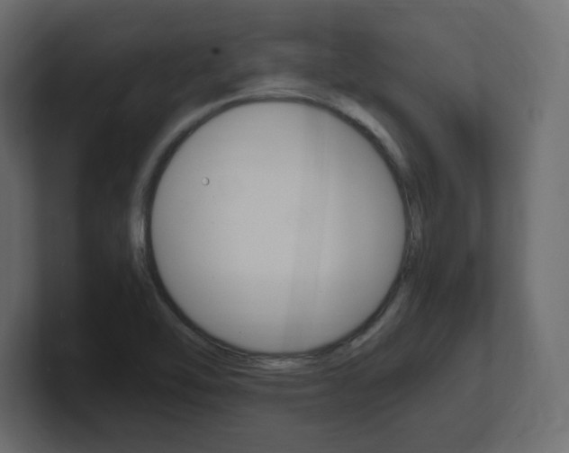 X0000101191462200806270837