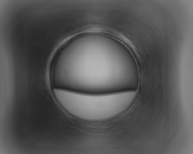X0000101191464200806270837
