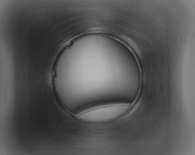 X0000101191465200806270837