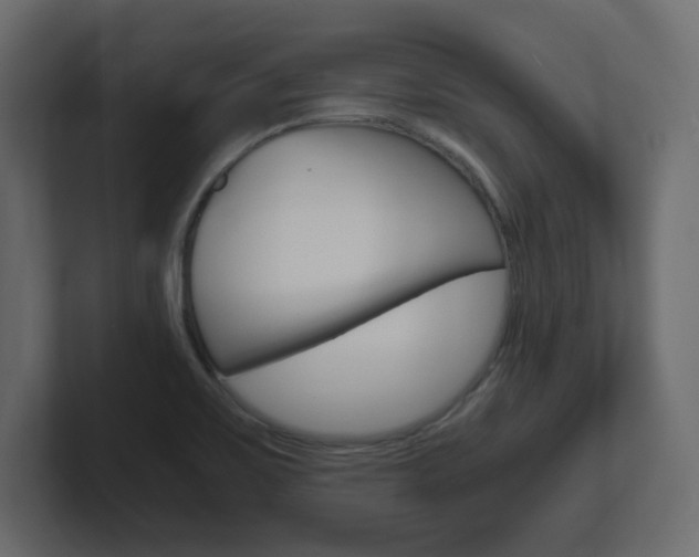 X0000101191467200806270837