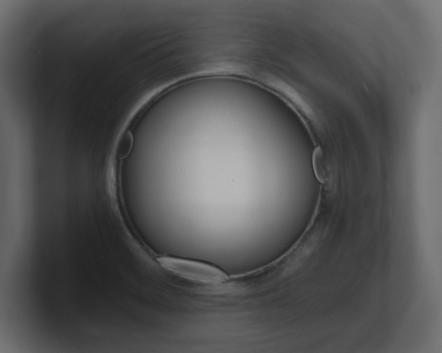 X0000101191468200806270837