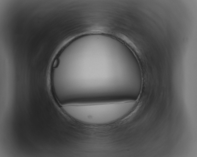X0000101191469200806270837