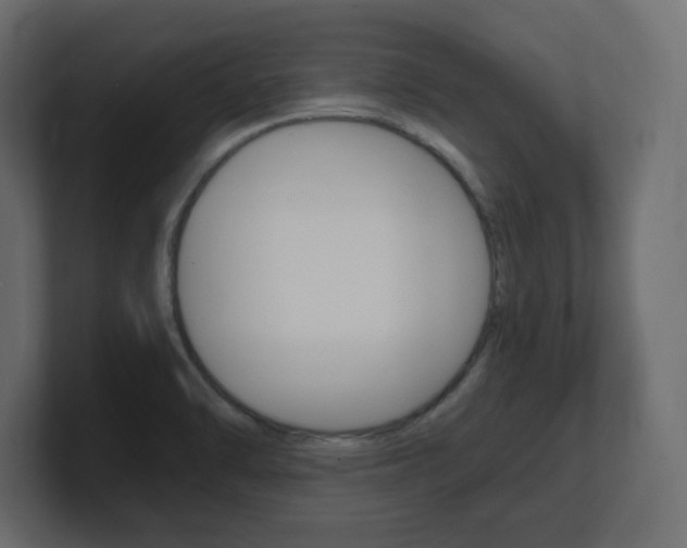X0000101191470200806270837