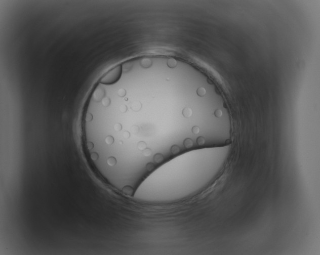 X0000101191471200806270837