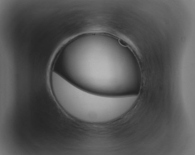 X0000101191472200806270837
