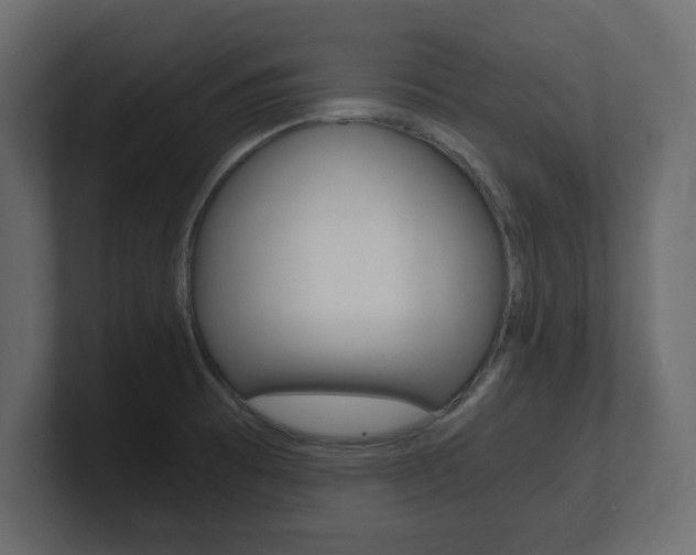X0000101191473200806270837