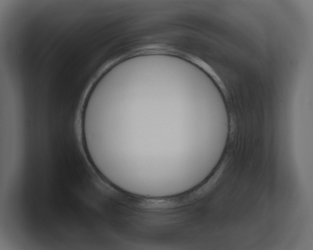 X0000101191474200806270837