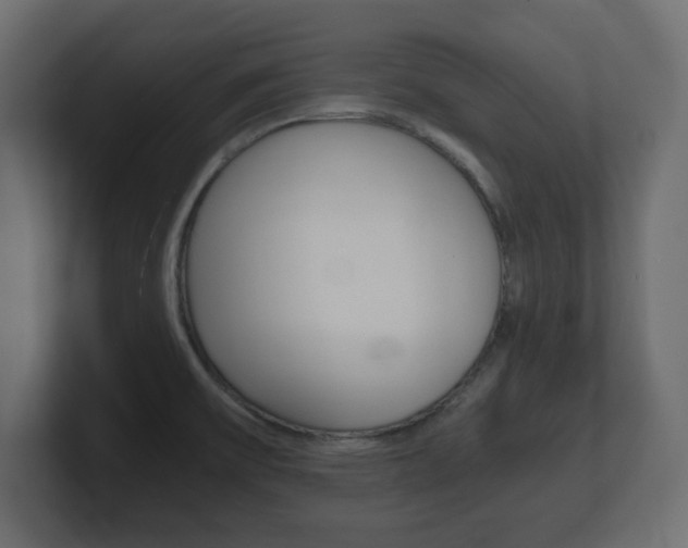 X0000101191475200806270837