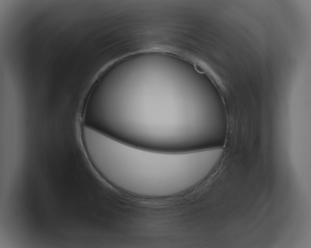 X0000101191476200806270837