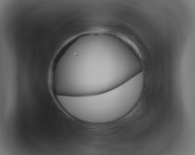 X0000101191477200806270837