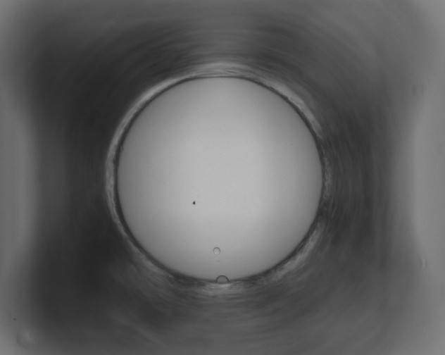 X0000101191478200806270837