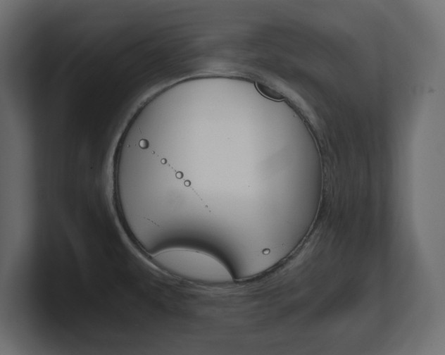 X0000101191479200806270837