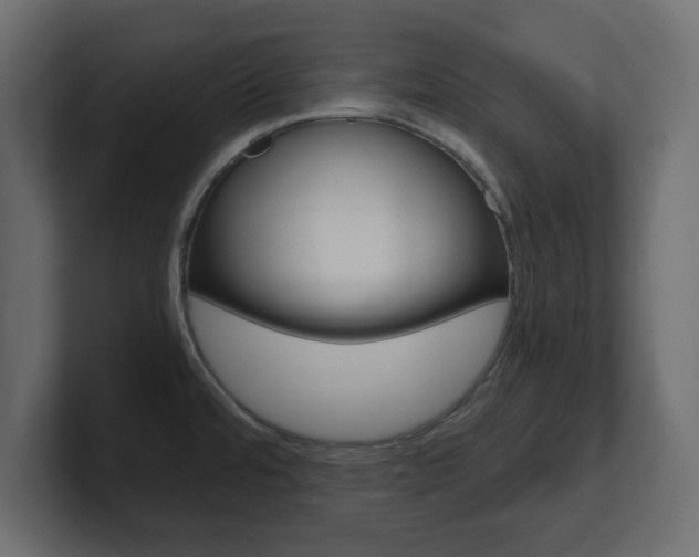 X0000101191480200806270837