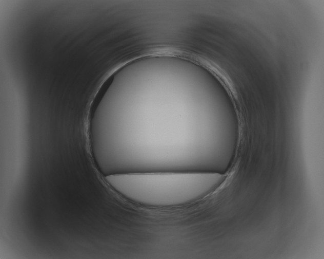 X0000101191481200806270837