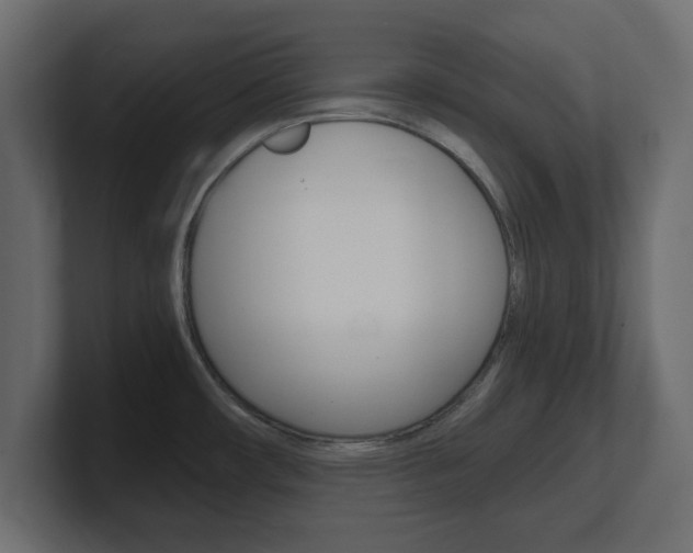 X0000101191482200806270837