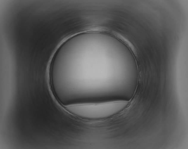 X0000101191483200806270837