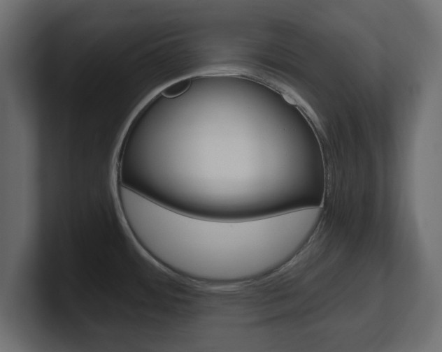 X0000101191484200806270837