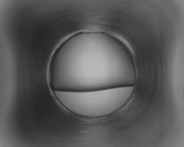 X0000101191485200806270837