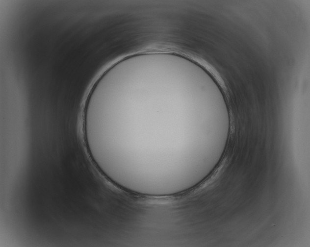 X0000101191486200806270837