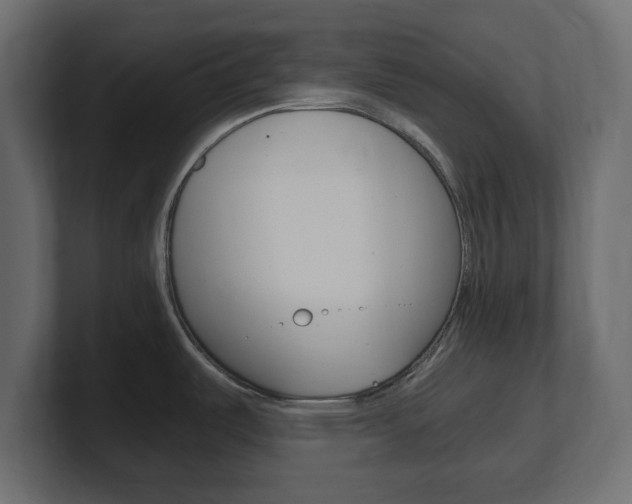 X0000101191487200806270837