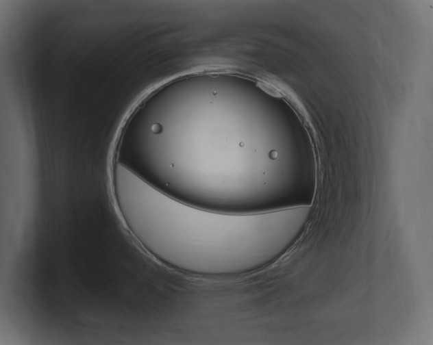 X0000101191488200806270837