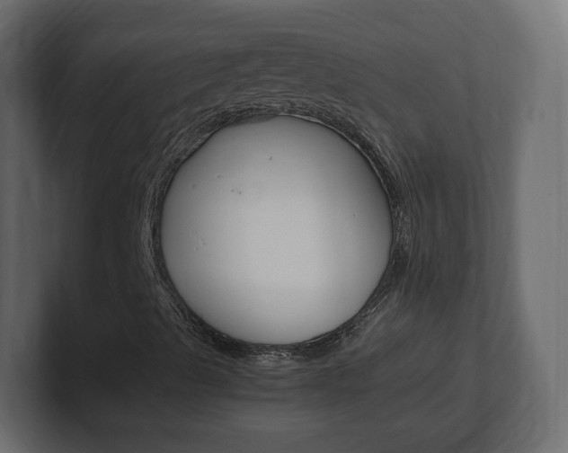 X0000101191489200806270836