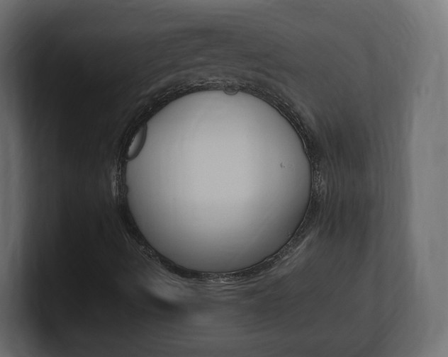 X0000101191490200806270836