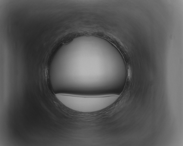 X0000101191492200806270836
