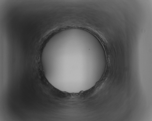 X0000101191494200806270836