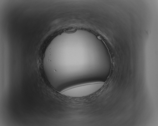 X0000101191495200806270836