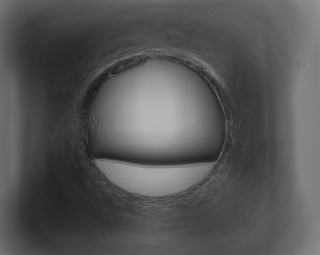X0000101191496200806270836