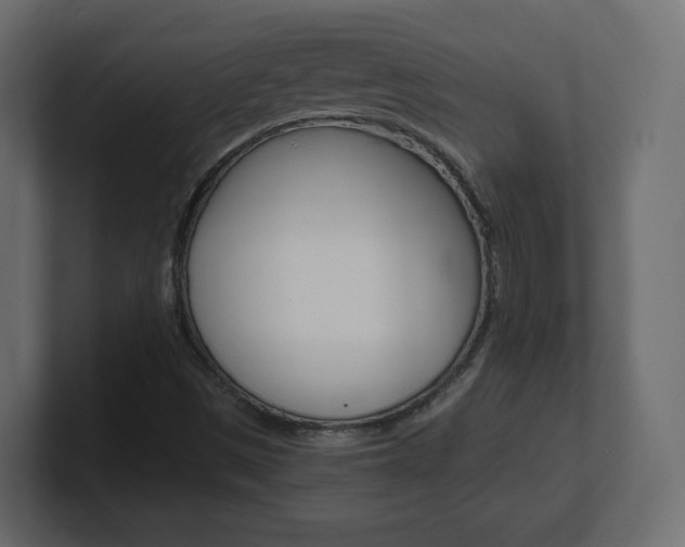 X0000101191497200806270836