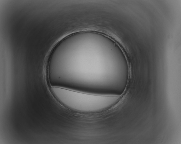 X0000101191500200806270836