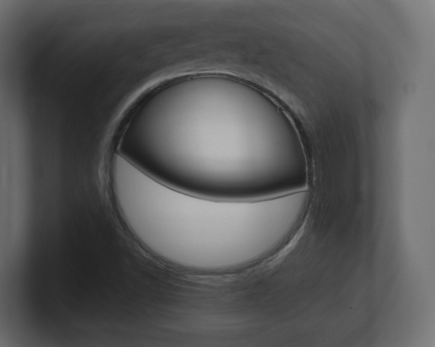 X0000101191502200806270836