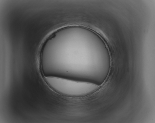 X0000101191504200806270836