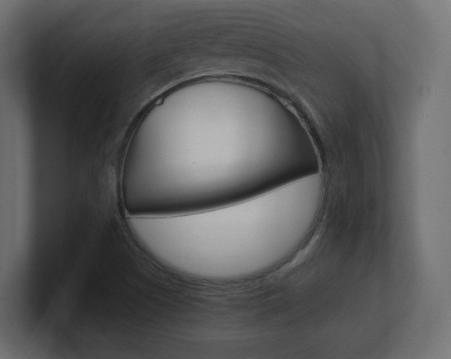 X0000101191505200806270836