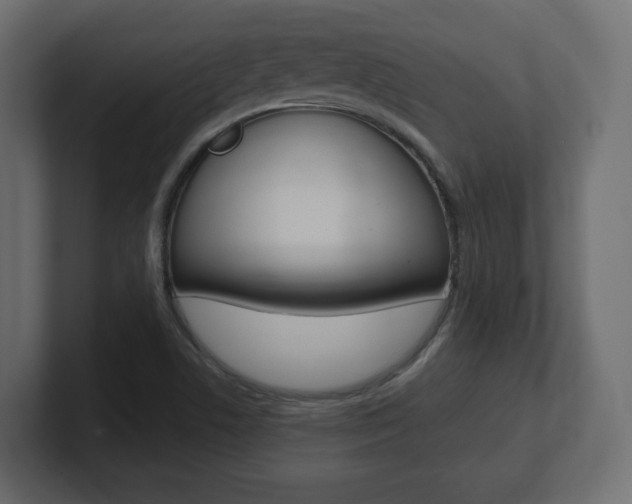X0000101191506200806270836